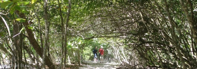 Manuel Antonio Park hiking trails Quepos Puntarenas Costa Rica Costa Rica Day Tours