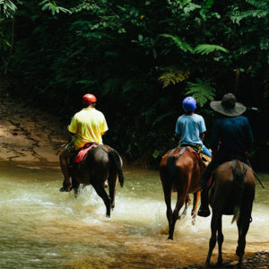 horse back riding tocori waterfall horses