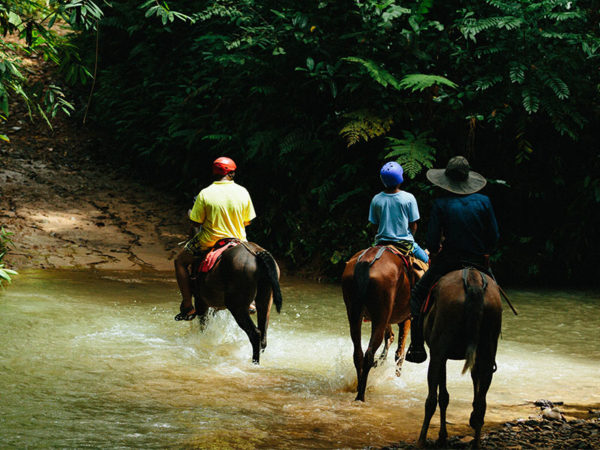 horse back riding tocori waterfall horses