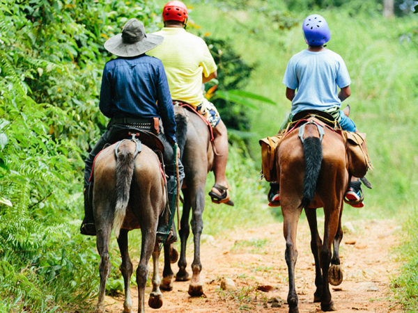 horse back riding tocori waterfalls